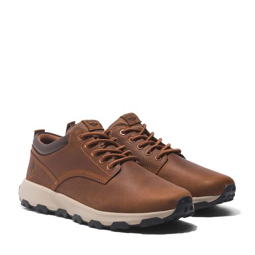Botas Marrones Timberland Winsor Park Low Lace Oxford Plain Toe Marrón 43