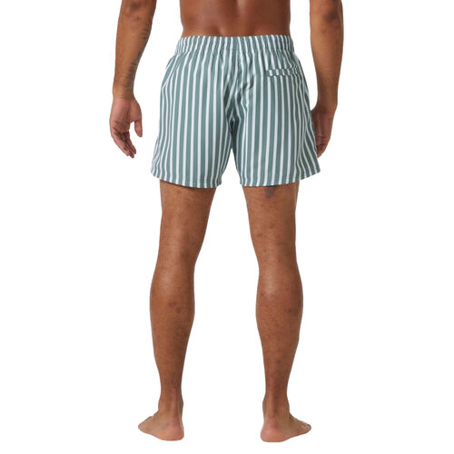 Bañador Verde Helly Hansen de Rayas Newport Swim Trunks Grey Cactus S