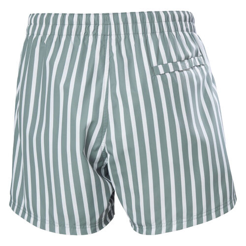 Bañador Verde Helly Hansen de Rayas Newport Swim Trunks Grey Cactus S