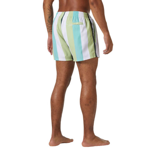 Bañador Multicolor Helly Hansen de Rayas Newport Swim Trunks Iced Matcha S