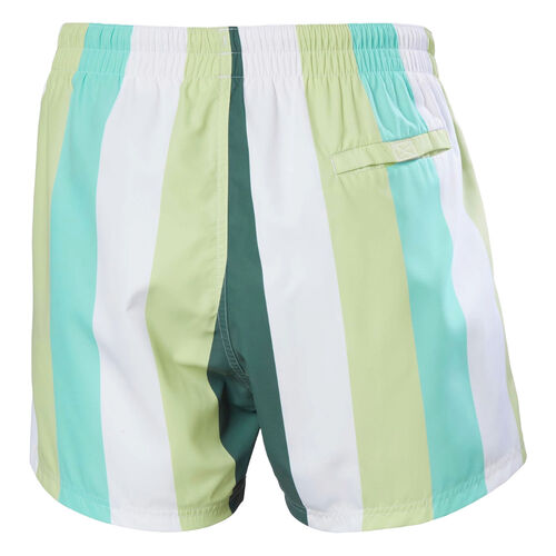 Bañador Multicolor Helly Hansen de Rayas Newport Swim Trunks Iced Matcha S