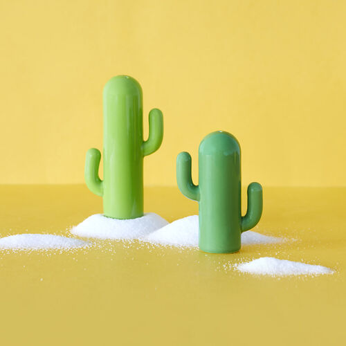 Set Sal y Pimienta cactus verde porcelana de Balvi