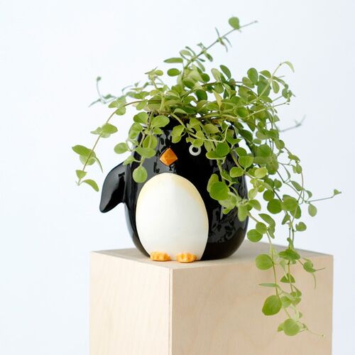 Maceta Puckator de Pingüino de Cerámica TU