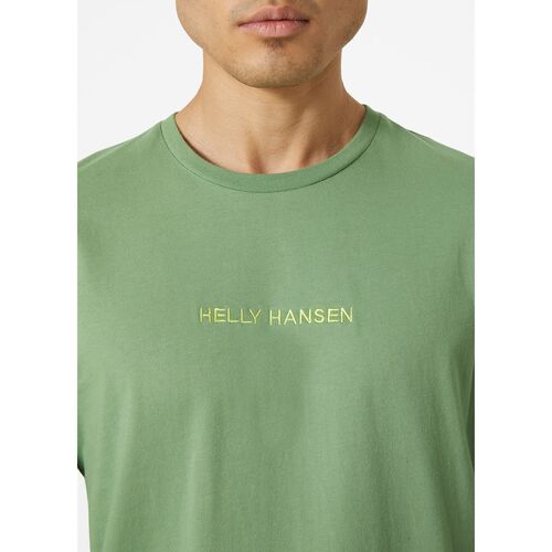 Camiseta Verde Helly Hansen Core Graphic T-shirt Jade  L