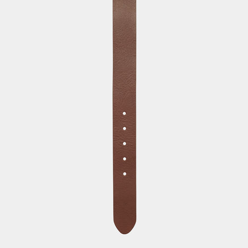 Cinturn Marrn Carhartt Scrpt Belt Cognac - Silver M