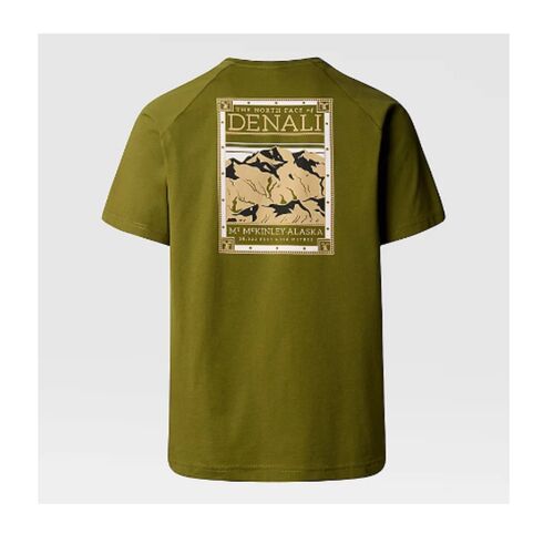 Camiseta Verde The North Face North Faces Forest Olive XS
