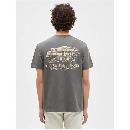 Camiseta Gris Pompeii Charcoal Residence Graphic Tee  M