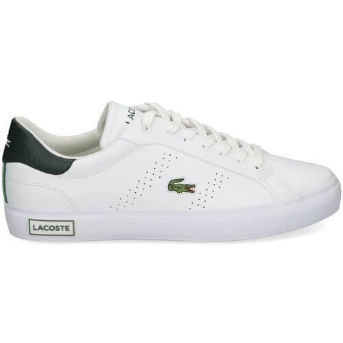 lacoste 43