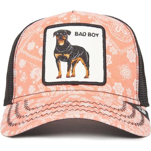 Gorra Rosa y Negra Perro Rottweiler Bad Boy Lovesexy Goorin Bros 