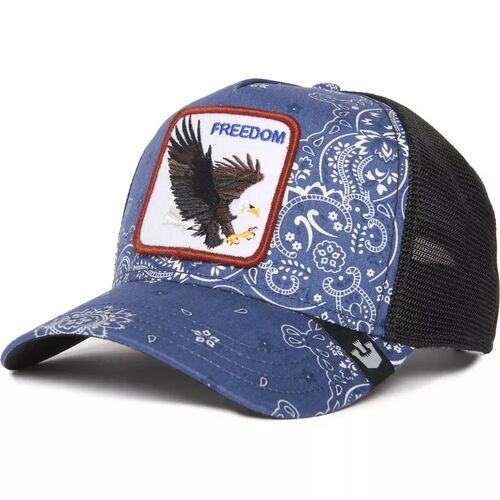 Gorra Azul guila Freedom A the W in a D Goorin Bros 