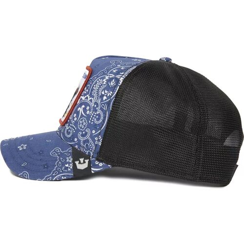 Gorra Azul guila Freedom A the W in a D Goorin Bros 